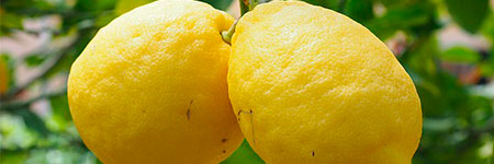 limon como remedio natural desintoxicante