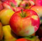 Alimentos para desintoxicar el organismo