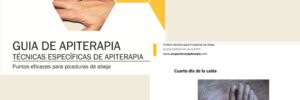 Domina la Apiterapia con Precisión: Manual Ilustrado de Puntos Eficaces