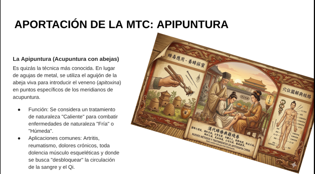 curso de apiterapia en ciempozuelos- madrid