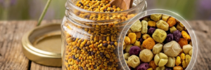 El Polen de Abeja Tesoro Nutricional con Respaldo Científico